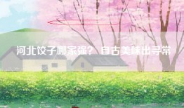 河北饺子哪家强？ 自古美味出寻常