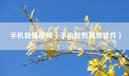 手机裁剪视频（手机裁剪视频软件）