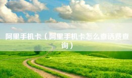 阿里手机卡（阿里手机卡怎么查话费查询）