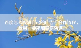 百度怎么投放自己的广告？合作流程，费用，要求加微信咨询！