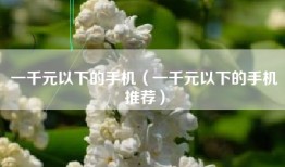 一千元以下的手机（一千元以下的手机推荐）