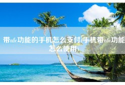 带nfc功能的手机怎么支付(手机带nfc功能怎么使用)