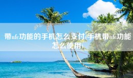 带nfc功能的手机怎么支付(手机带nfc功能怎么使用)