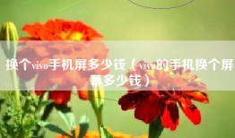 换个vivo手机屏多少钱（vivo的手机换个屏幕多少钱）