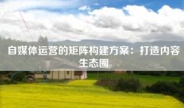自媒体运营的矩阵构建方案：打造内容生态圈