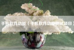 手机软件功能（手机软件功能测试项目）