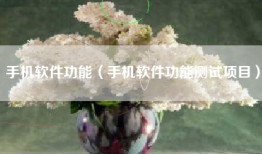 手机软件功能（手机软件功能测试项目）