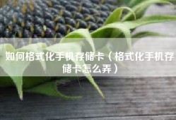 如何格式化手机存储卡（格式化手机存储卡怎么弄）