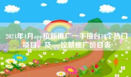 2024年4月app拉新推广一手接台10个热门项目，及app拉新推广价目表