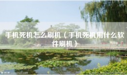 手机死机怎么刷机（手机死机用什么软件刷机）