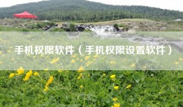 手机权限软件（手机权限设置软件）