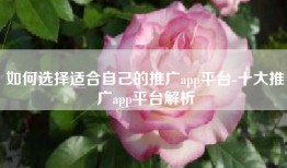 如何选择适合自己的推广app平台-十大推广app平台解析