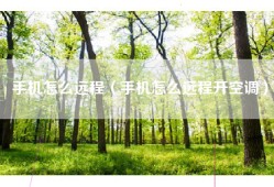 手机怎么远程（手机怎么远程开空调）