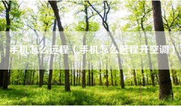 手机怎么远程（手机怎么远程开空调）