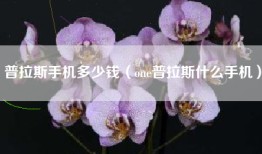 普拉斯手机多少钱（one普拉斯什么手机）