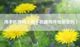用手机蹭网（用手机蹭网并知道密码）