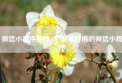 微信小程序推荐,5个非常好用的微信小程序