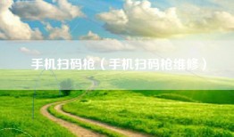 手机扫码枪（手机扫码枪维修）