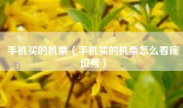 手机买的机票（手机买的机票怎么看座位号）