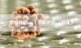 手机拼图app（手机拼图app游戏）