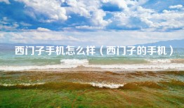 西门子手机怎么样（西门子的手机）