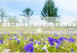 国家二级心理咨询师考试报考条件有哪些