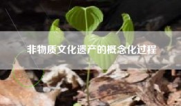 非物质文化遗产的概念化过程
