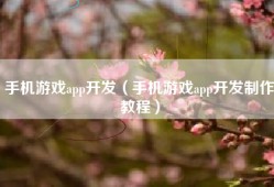 手机游戏app开发（手机游戏app开发制作教程）