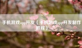 手机游戏app开发（手机游戏app开发制作教程）