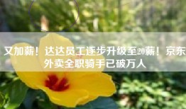 又加薪！达达员工逐步升级至20薪！京东外卖全职骑手已破万人
