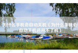 为什么手机会自动关机（为什么手机会自动关机还开不了机）