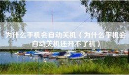 为什么手机会自动关机（为什么手机会自动关机还开不了机）