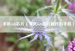 手机hifi芯片（手机hifi芯片最好的手机）