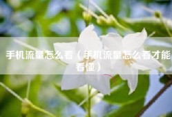 手机流量怎么看（手机流量怎么看才能看懂）