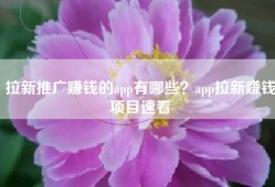 拉新推广赚钱的app有哪些？app拉新赚钱项目速看