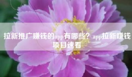 拉新推广赚钱的app有哪些？app拉新赚钱项目速看