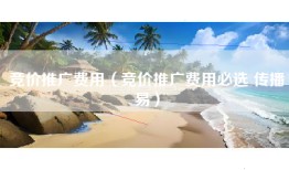 竞价推广费用（竞价推广费用必选 传播易）