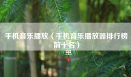 手机音乐播放（手机音乐播放器排行榜前十名）