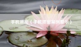 手机泄密（手机泄密案例警示）