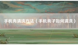 手机壳清洗方法（手机壳子如何清洗）