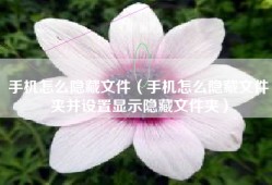 手机怎么隐藏文件（手机怎么隐藏文件夹并设置显示隐藏文件夹）