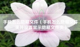 手机怎么隐藏文件（手机怎么隐藏文件夹并设置显示隐藏文件夹）