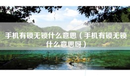 手机有锁无锁什么意思（手机有锁无锁什么意思呀）