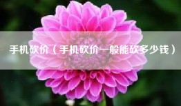 手机砍价（手机砍价一般能砍多少钱）
