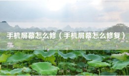 手机屏幕怎么修（手机屏幕怎么修复）