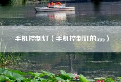 手机控制灯（手机控制灯的app）
