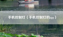 手机控制灯（手机控制灯的app）