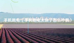 手机跑电（手机跑电太快了怎么补救）