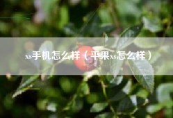 xs手机怎么样（平果xs怎么样）