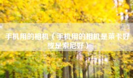 手机用的相机（手机用的相机是莱卡好或是索尼好）